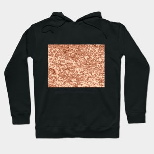 Molten copper coloured abstract background Hoodie